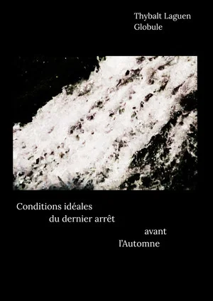 Постер: Conditions idéales du dernier arrêt avant l'Automne