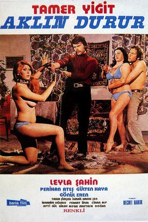 Постер: Aklın Durur