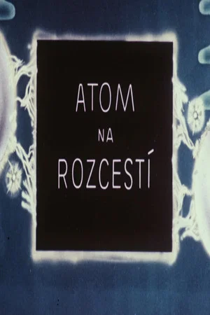Постер: Atom na rozcestí