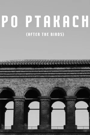 Постер: After The Birds