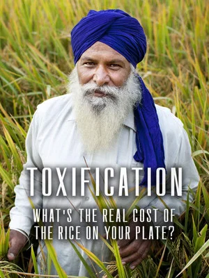 Постер: Toxification