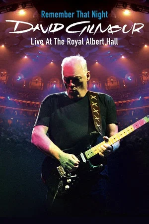 Постер: David Gilmour: Remember That Night