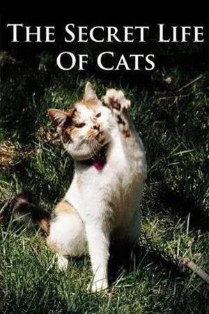 Постер: The Secret Life of Cats