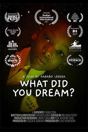 Постер: What Did You Dream?
