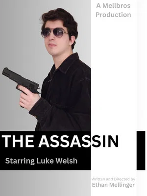 Постер: The Assassin