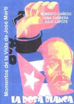 Постер: La rosa blanca