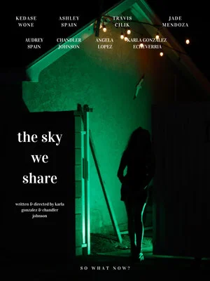 Постер: The Sky We Share