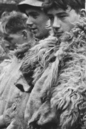 Постер: Bandits of Mawddwy