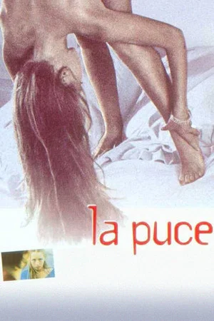 Постер: La Puce