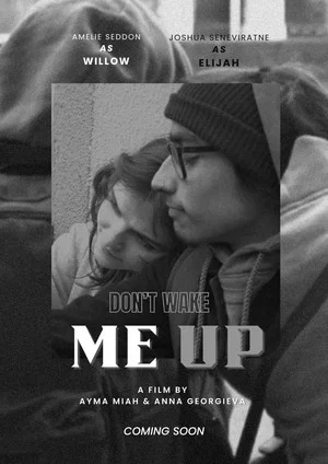 Постер: Don't Wake Me Up