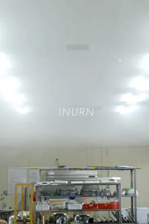 Постер: INURN