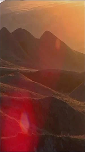 Постер: Caribou