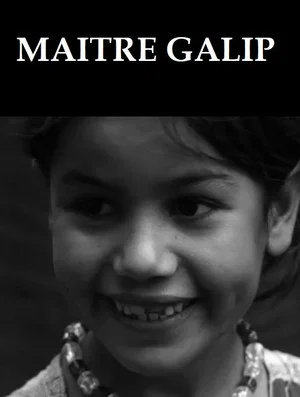 Постер: Maître Galip