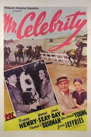 Постер: Mr. Celebrity