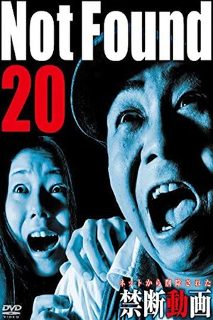 Постер: Not Found 20