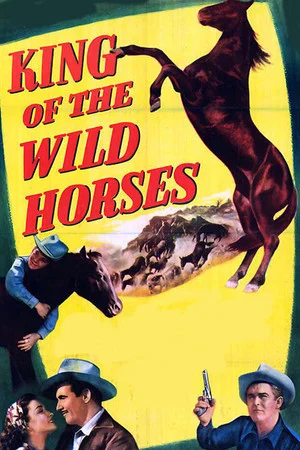 Постер: King of the Wild Horses