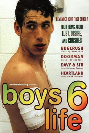 Постер: Boys Life 6