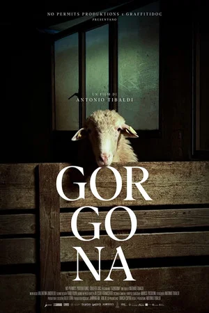Постер: Gorgona