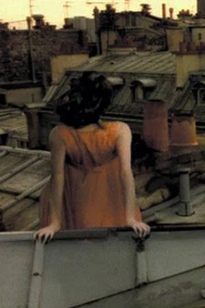 Постер: L'illusion