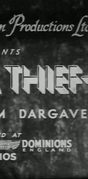 Постер: Once a Thief