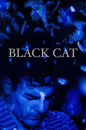 Постер: Black Cat