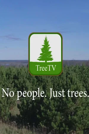 Постер: TreeTV