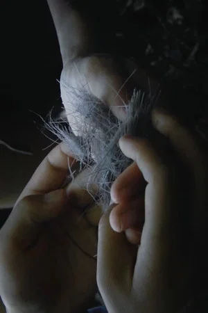 Постер: To This Buried Place