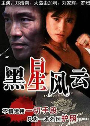 Постер: The Story of the Gun