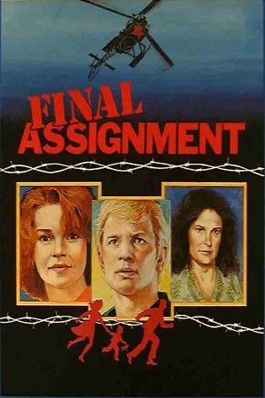 Постер: Final Assignment