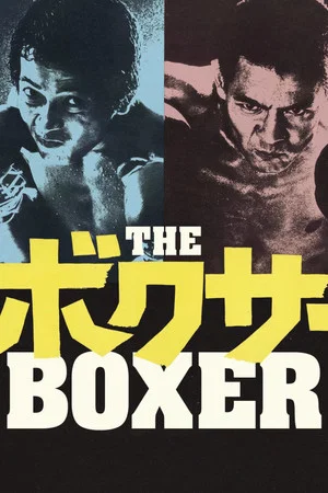 Постер: The Boxer