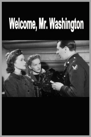 Постер: Welcome, Mr Washington