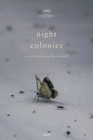 Постер: Night Colonies