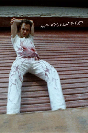 Постер: Days Are Numbered