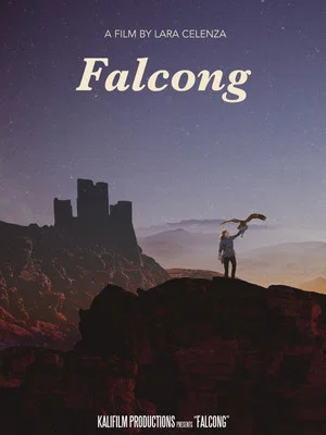 Постер: Falcong