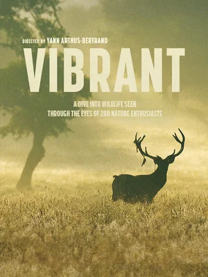 Постер: Vibrant