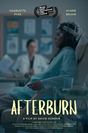 Постер: Afterburn
