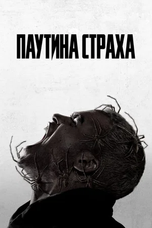 Постер: Паутина страха