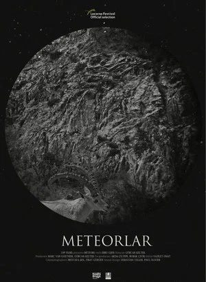Постер: Meteors