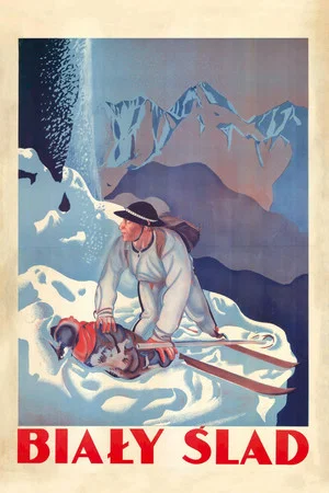 Постер: White Track