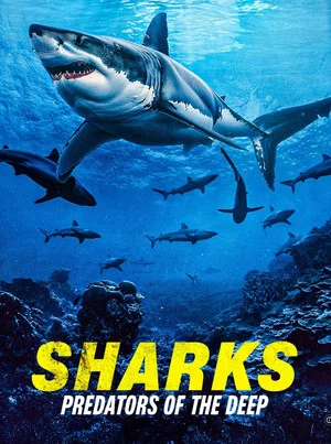 Постер: Sharks: Predators of the Deep