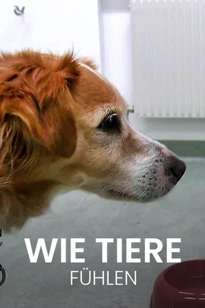 Постер: Wie Tiere fühlen