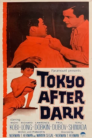 Постер: Tokyo After Dark