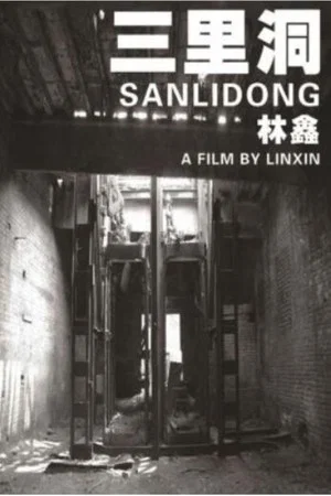 Постер: Sanlidong
