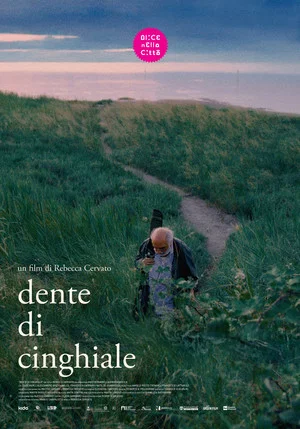 Постер: Dente di cinghiale