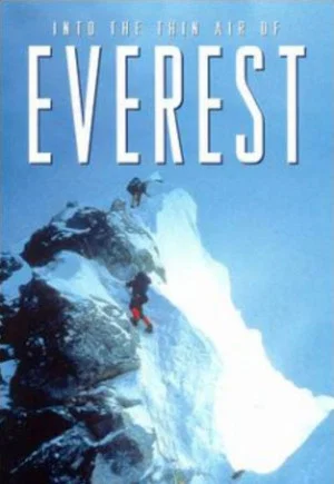 Постер: The Quest