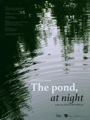 Постер: The Pond, at Night