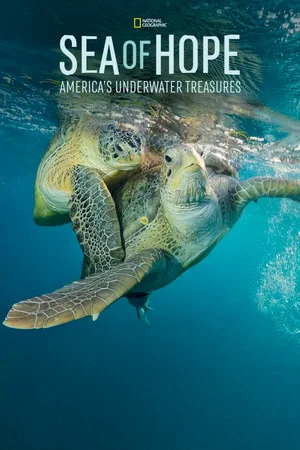 Постер: Sea of Hope: America's Underwater Treasures