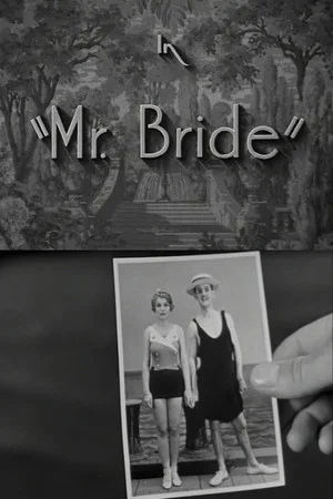 Постер: Mr. Bride
