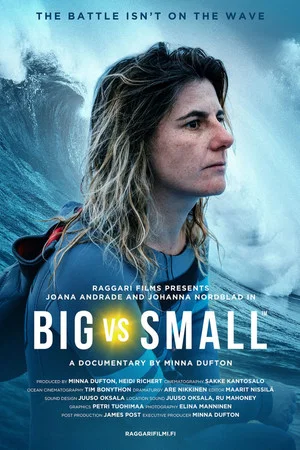 Постер: Big vs. Small