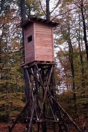 Постер: Highly Perched